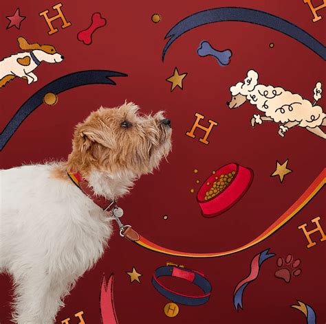 hermes woof day|Hermès Woof Day .